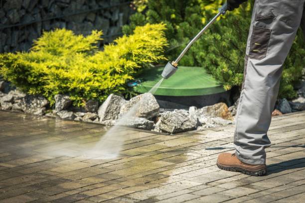 Best Warehouse Cleaning  in Crystal River, FL