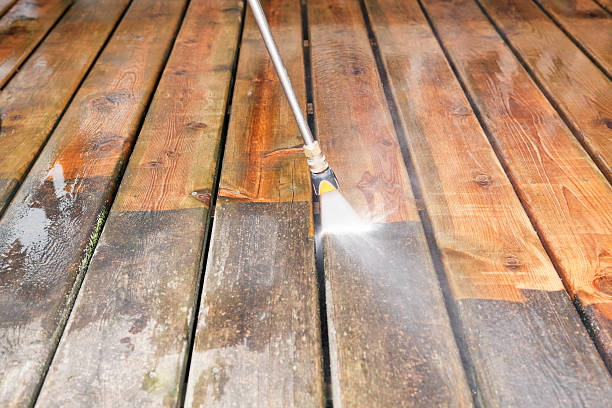 Best Animal Enclosure Cleaning  in Crystal River, FL